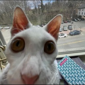 Meet your Posher, Adela